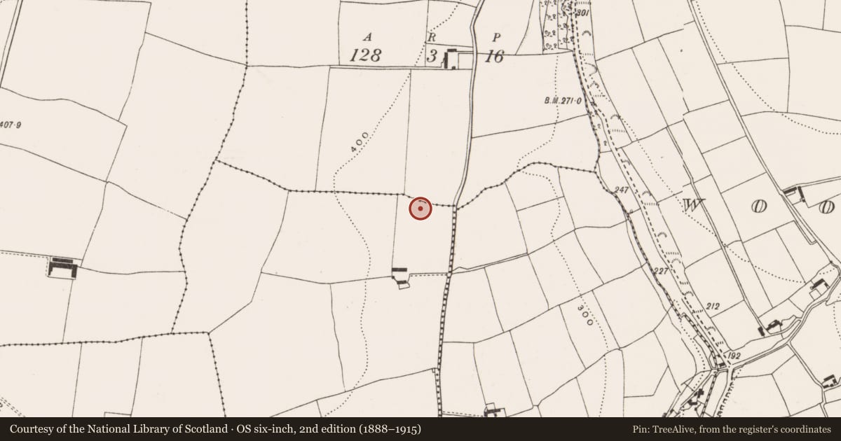 Ordnance Survey six-inch map, 2nd edition (1888–1915) covering the location of Fulacht fia, Fahydorgan, County Cork, with a pin at the register's coordinates