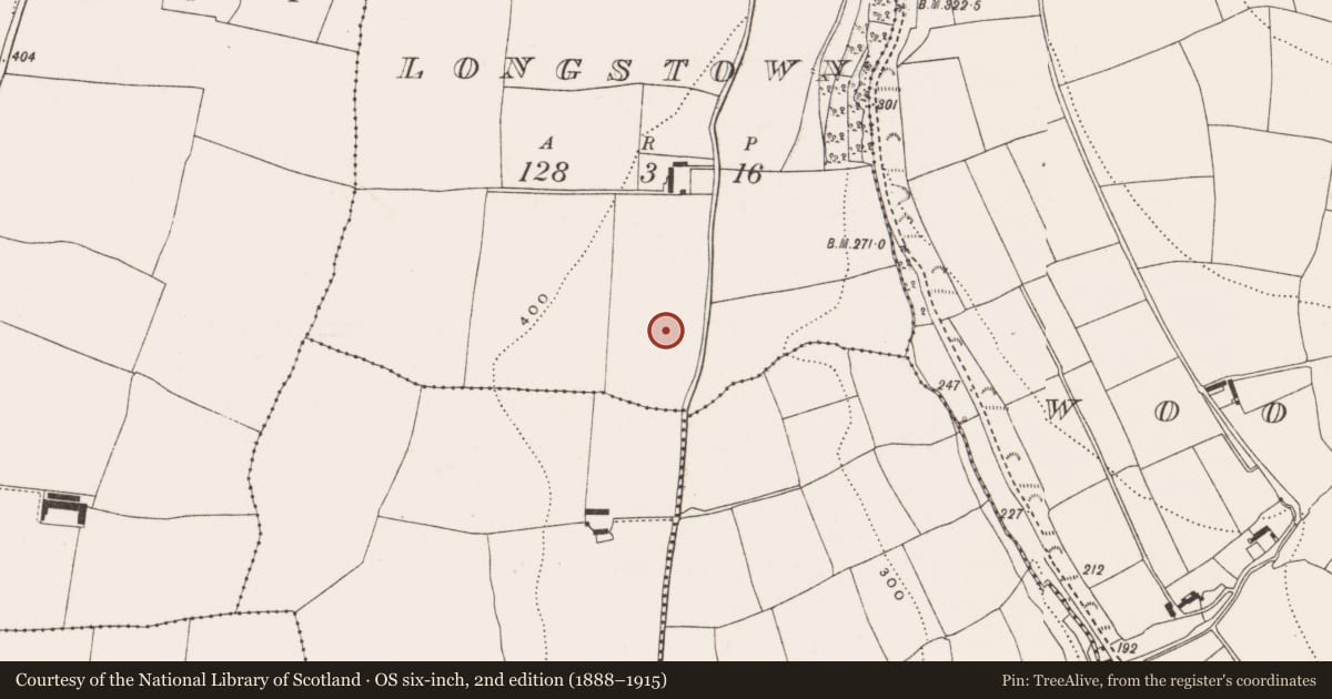 Ordnance Survey six-inch map, 2nd edition (1888–1915) covering the location of Enclosure, Longstown, County Cork, with a pin at the register's coordinates