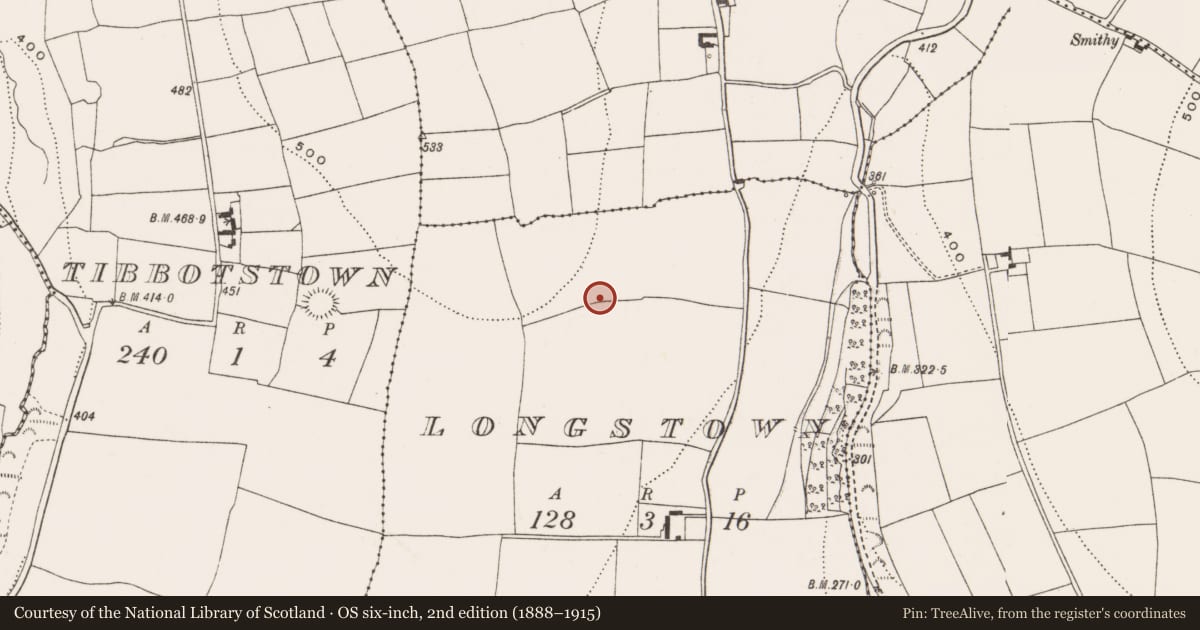 Ordnance Survey six-inch map, 2nd edition (1888–1915) covering the location of Enclosure, Longstown, County Cork, with a pin at the register's coordinates