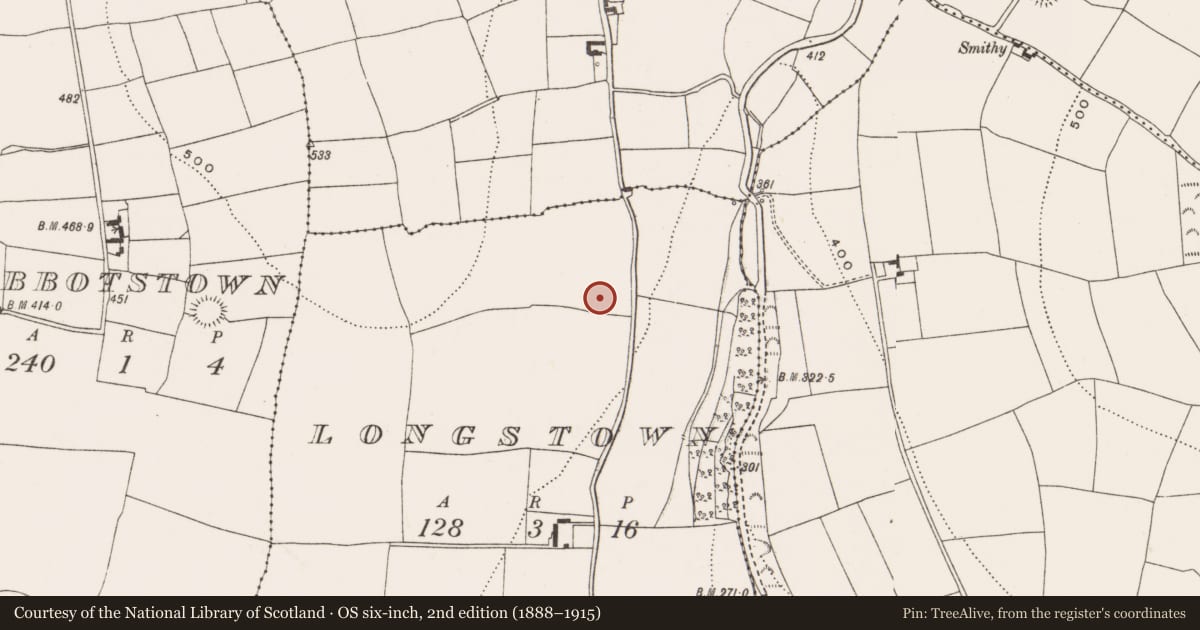 Ordnance Survey six-inch map, 2nd edition (1888–1915) covering the location of Enclosure, Longstown, County Cork, with a pin at the register's coordinates