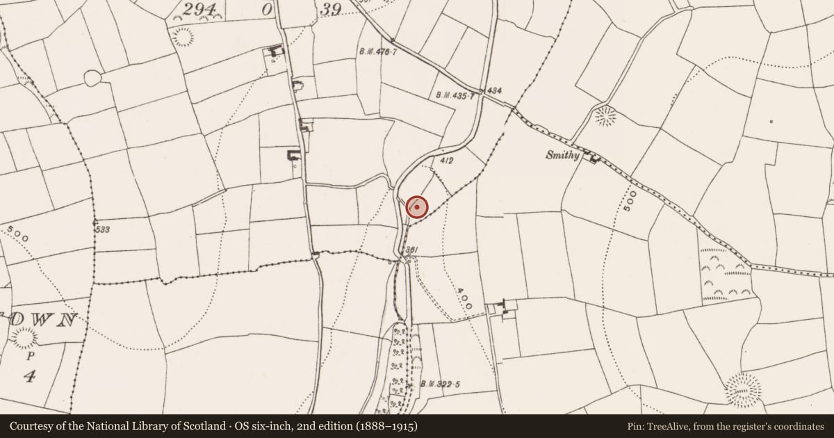 Ordnance Survey six-inch map, 2nd edition (1888–1915) covering the location of Fulacht fia, Garranes, County Cork, with a pin at the register's coordinates
