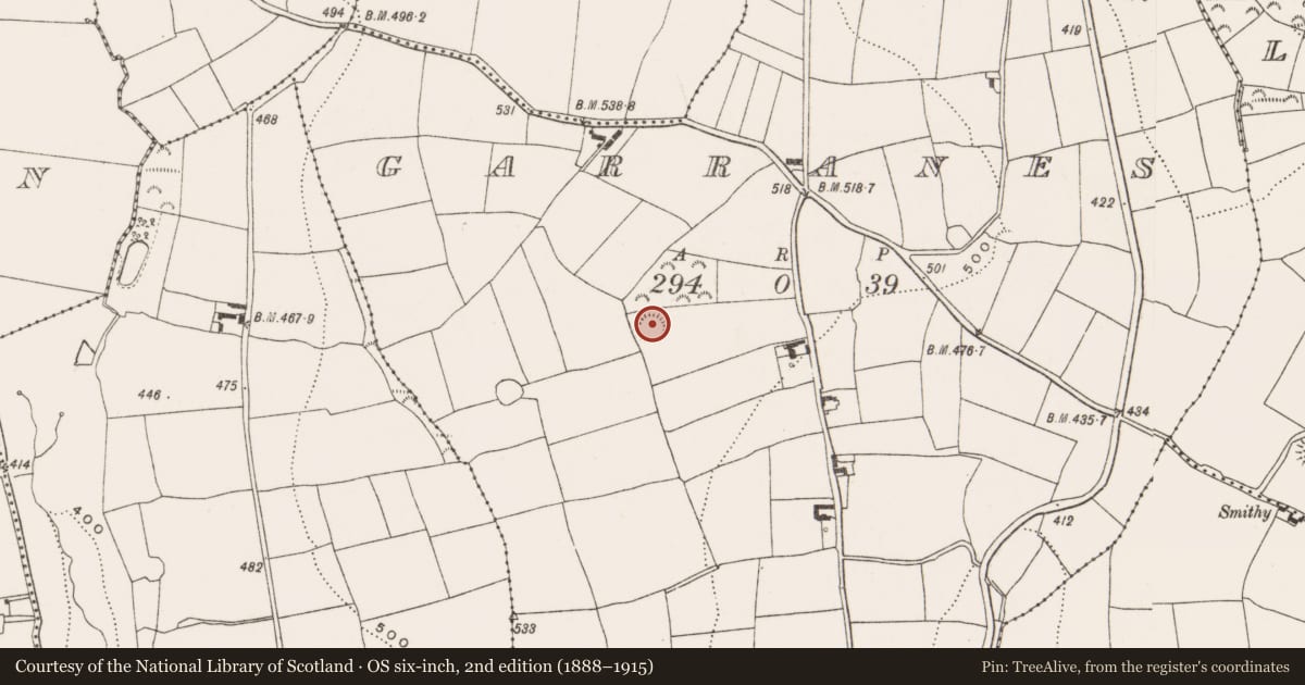 Ordnance Survey six-inch map, 2nd edition (1888–1915) covering the location of Ringfort - rath, Garranes, County Cork, with a pin at the register's coordinates