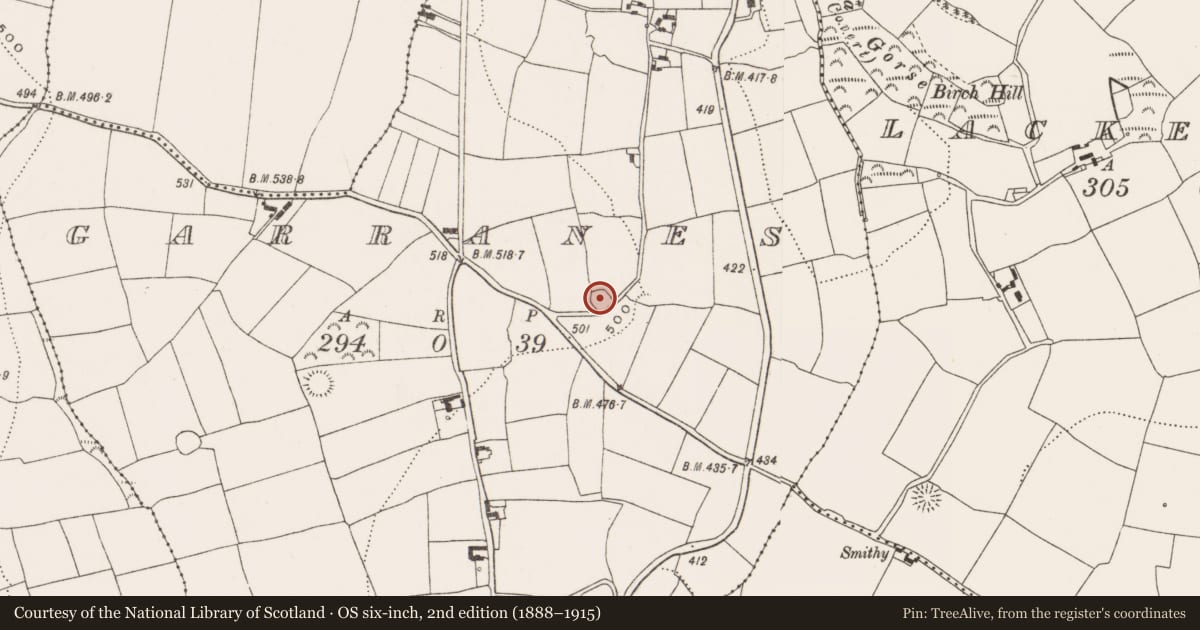 Ordnance Survey six-inch map, 2nd edition (1888–1915) covering the location of Ringfort - rath, Garranes, County Cork, with a pin at the register's coordinates