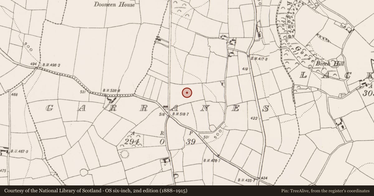 Ordnance Survey six-inch map, 2nd edition (1888–1915) covering the location of Standing stone, Garranes, County Cork, with a pin at the register's coordinates