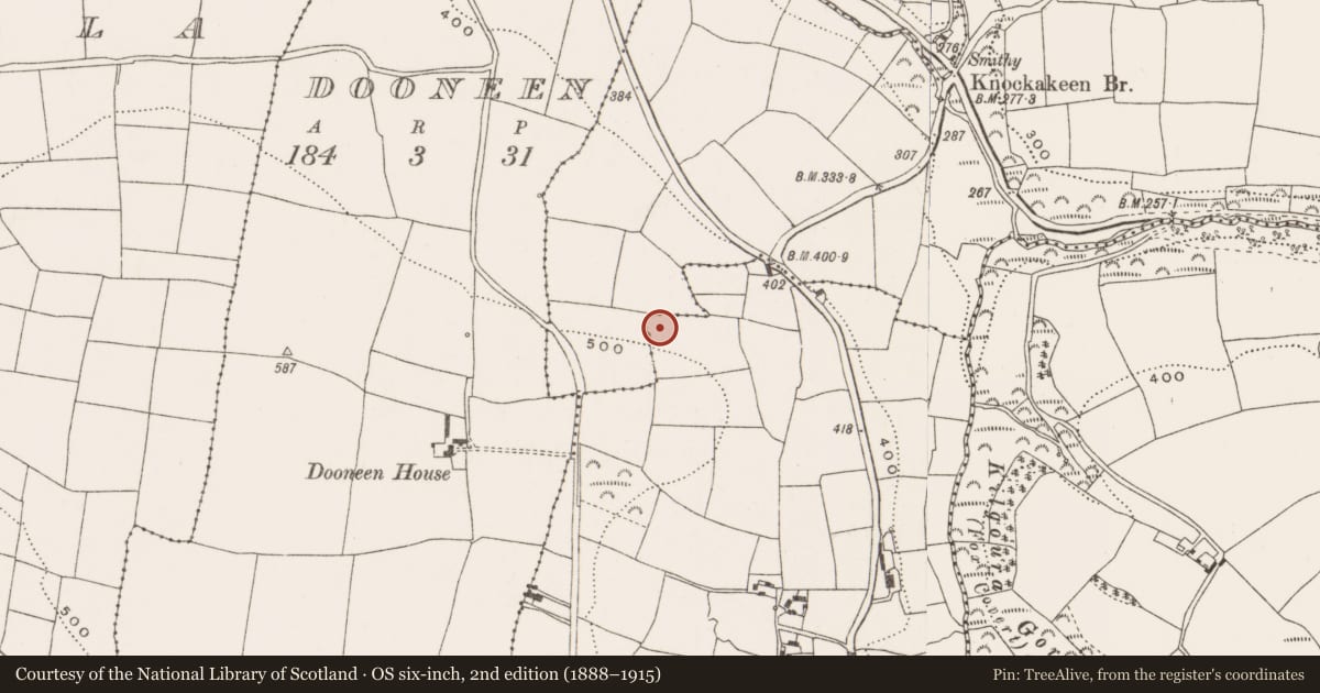 Ordnance Survey six-inch map, 2nd edition (1888–1915) covering the location of Ringfort - rath, Garranes, County Cork, with a pin at the register's coordinates