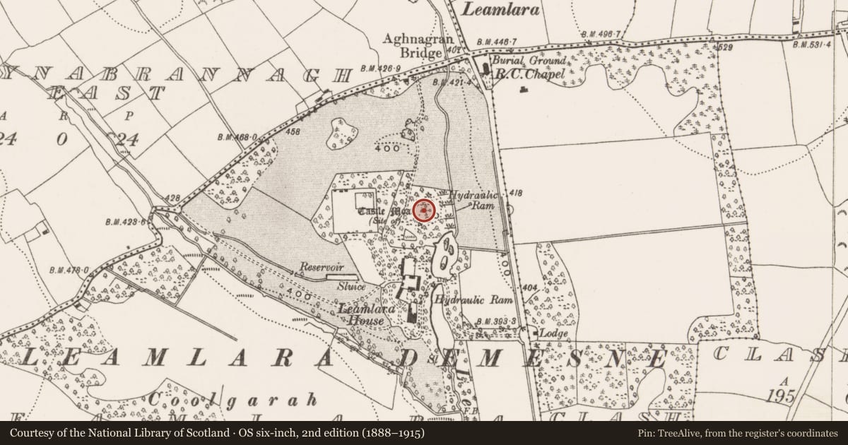 Ordnance Survey six-inch map, 2nd edition (1888–1915) covering the location of Earthwork, Leamlara, County Cork, with a pin at the register's coordinates