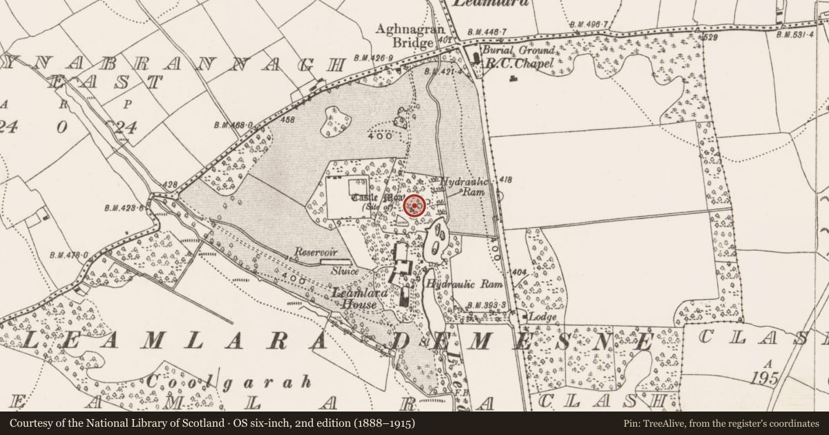 Ordnance Survey six-inch map, 2nd edition (1888–1915) covering the location of Castle - tower house, Leamlara, County Cork, with a pin at the register's coordinates