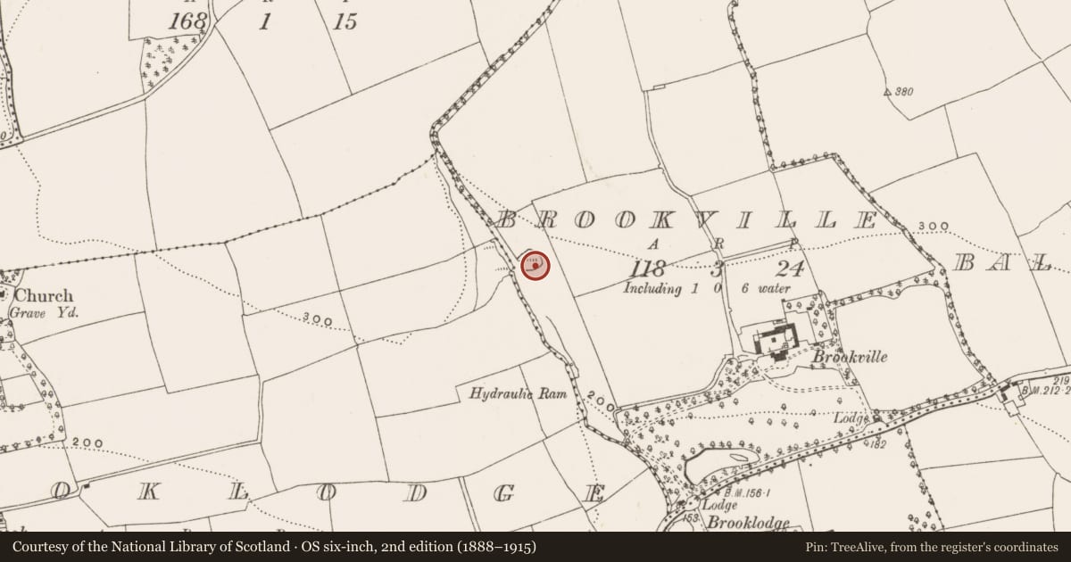 Ordnance Survey six-inch map, 2nd edition (1888–1915) covering the location of Quarry, Brookville, County Cork, with a pin at the register's coordinates