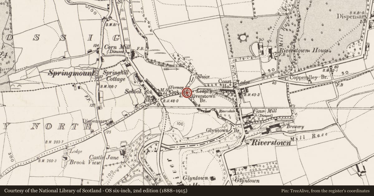 Ordnance Survey six-inch map, 2nd edition (1888–1915) covering the location of Bridge, County Cork, with a pin at the register's coordinates