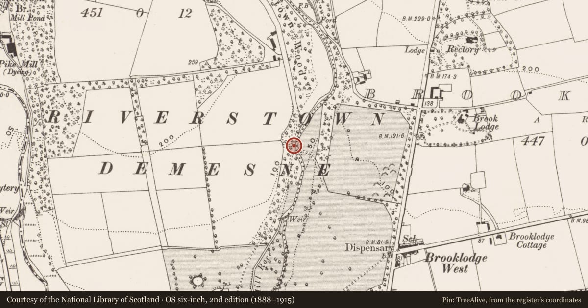 Ordnance Survey six-inch map, 2nd edition (1888–1915) covering the location of Kiln - lime, Riverstown, County Cork, with a pin at the register's coordinates