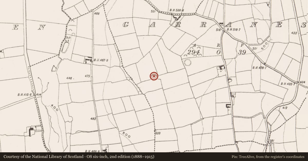 Ordnance Survey six-inch map, 2nd edition (1888–1915) covering the location of Souterrain, Garranes, County Cork, with a pin at the register's coordinates