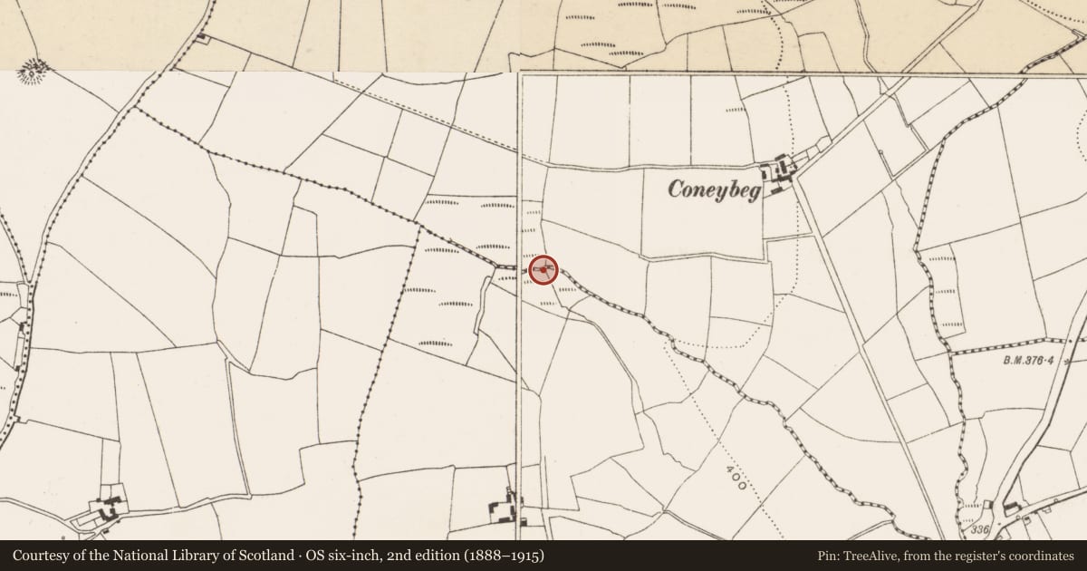 Ordnance Survey six-inch map, 2nd edition (1888–1915) covering the location of Water mill - horizontal-wheeled, Crushyriree, County Cork, with a pin at the register's coordinates