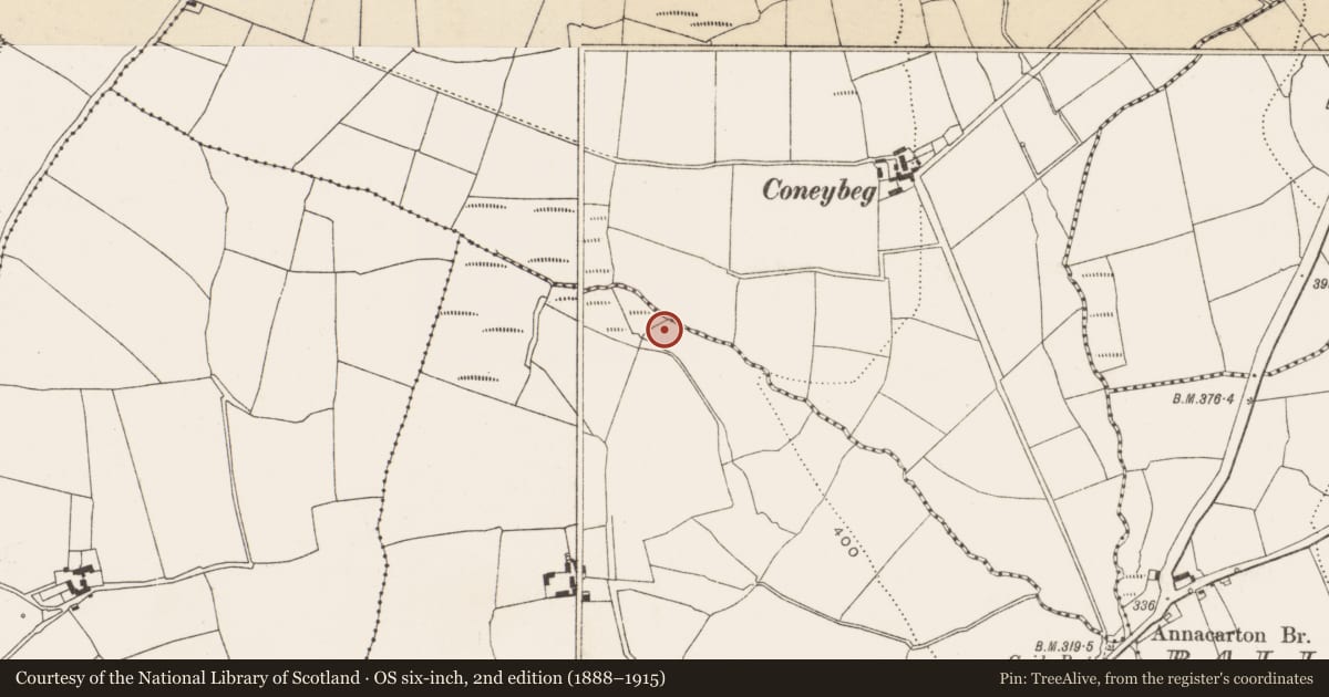 Ordnance Survey six-inch map, 2nd edition (1888–1915) covering the location of Burnt mound, Crushyriree, County Cork, with a pin at the register's coordinates
