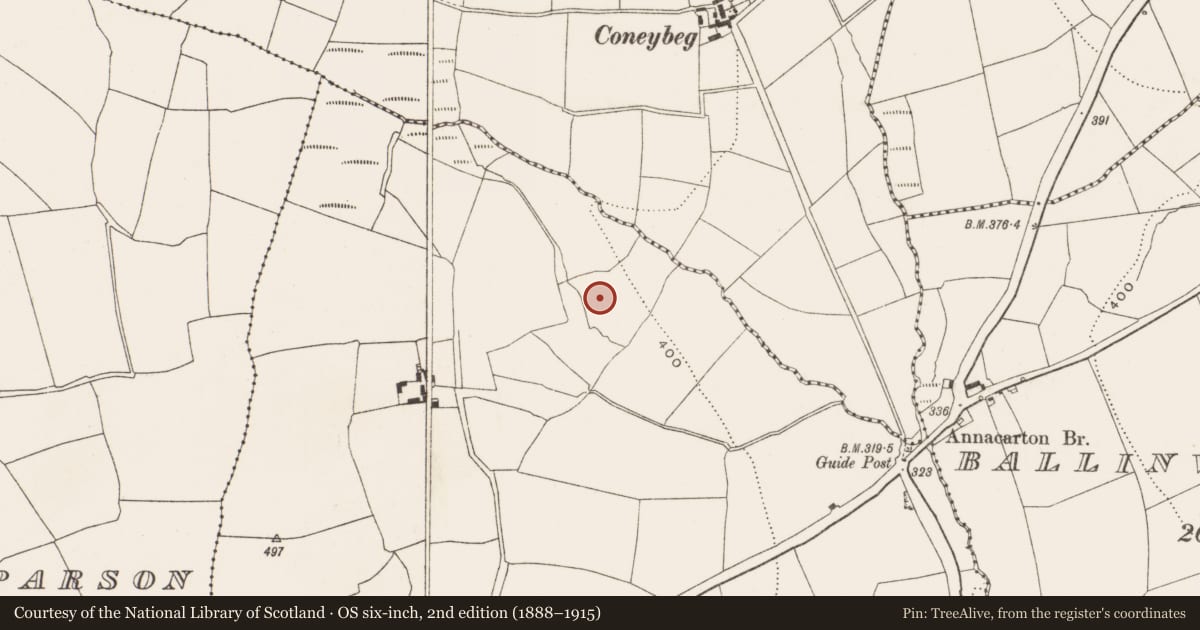 Ordnance Survey six-inch map, 2nd edition (1888–1915) covering the location of Burnt mound, Crushyriree, County Cork, with a pin at the register's coordinates