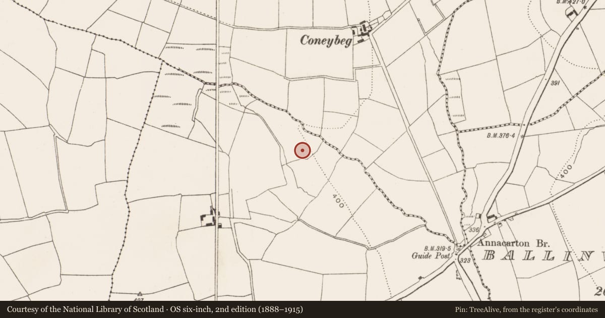Ordnance Survey six-inch map, 2nd edition (1888–1915) covering the location of Burnt mound, Crushyriree, County Cork, with a pin at the register's coordinates