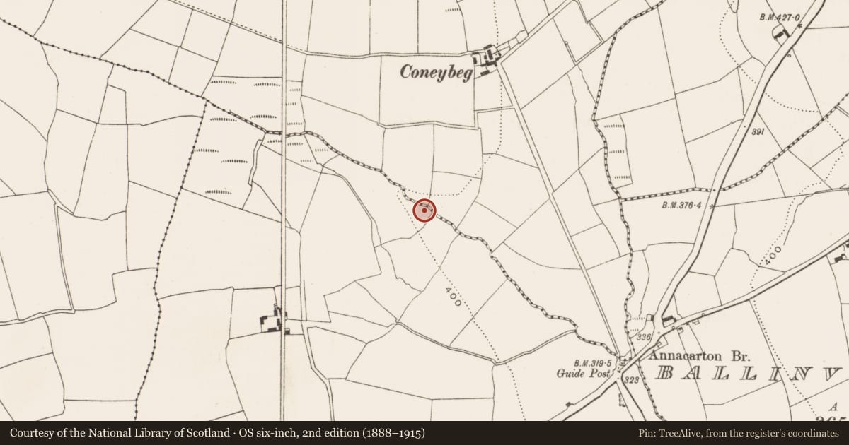Ordnance Survey six-inch map, 2nd edition (1888–1915) covering the location of Burnt mound, Crushyriree, County Cork, with a pin at the register's coordinates