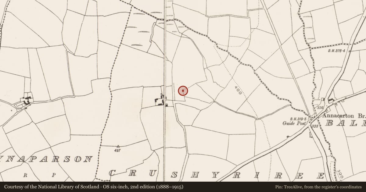 Ordnance Survey six-inch map, 2nd edition (1888–1915) covering the location of Burnt mound, Crushyriree, County Cork, with a pin at the register's coordinates