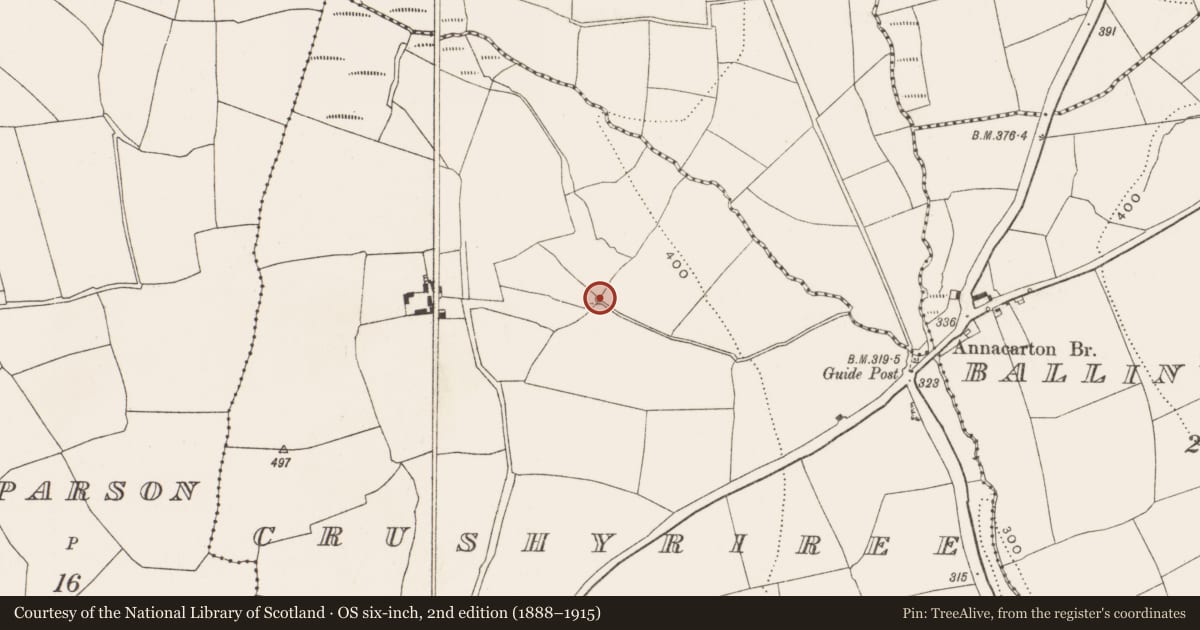 Ordnance Survey six-inch map, 2nd edition (1888–1915) covering the location of Burnt mound, Crushyriree, County Cork, with a pin at the register's coordinates