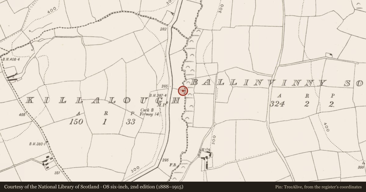 Ordnance Survey six-inch map, 2nd edition (1888–1915) covering the location of Fulacht fia, Killalough, County Cork, with a pin at the register's coordinates