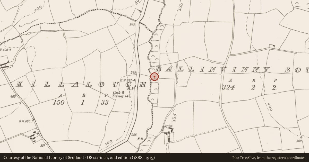 Ordnance Survey six-inch map, 2nd edition (1888–1915) covering the location of Fulacht fia, Ballinvinny South, County Cork, with a pin at the register's coordinates