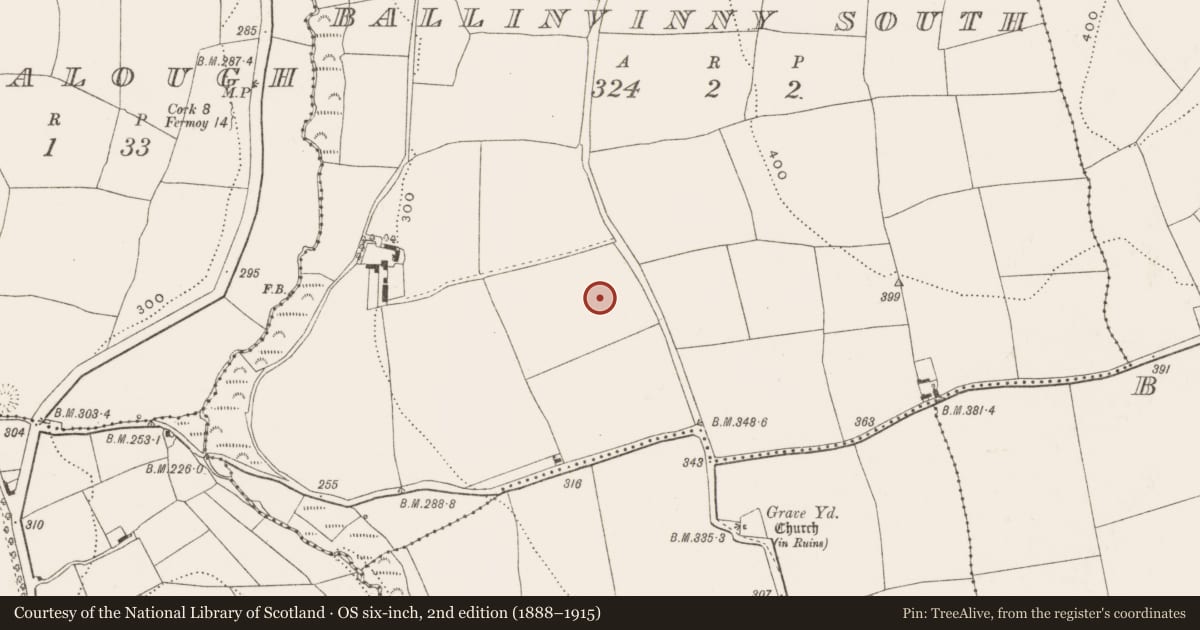 Ordnance Survey six-inch map, 2nd edition (1888–1915) covering the location of Burnt mound, Ballinvinny South, County Cork, with a pin at the register's coordinates