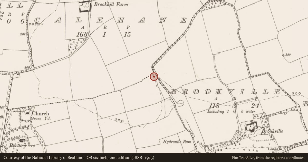 Ordnance Survey six-inch map, 2nd edition (1888–1915) covering the location of Kiln - corn-drying, Brooklodge, County Cork, with a pin at the register's coordinates