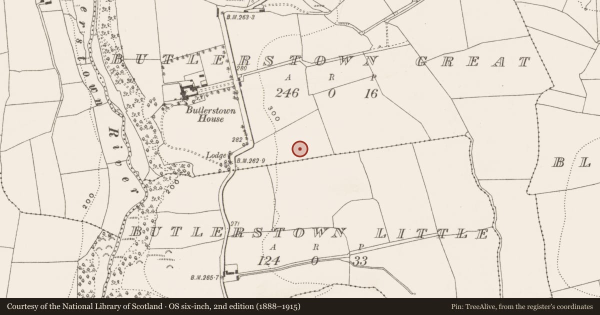Ordnance Survey six-inch map, 2nd edition (1888–1915) covering the location of Fulacht fia, Butlerstown Little, County Cork, with a pin at the register's coordinates