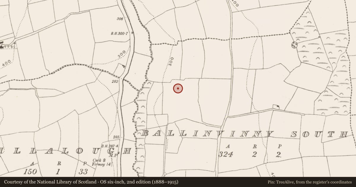 Ordnance Survey six-inch map, 2nd edition (1888–1915) covering the location of House - medieval, Ballinvinny South, County Cork, with a pin at the register's coordinates