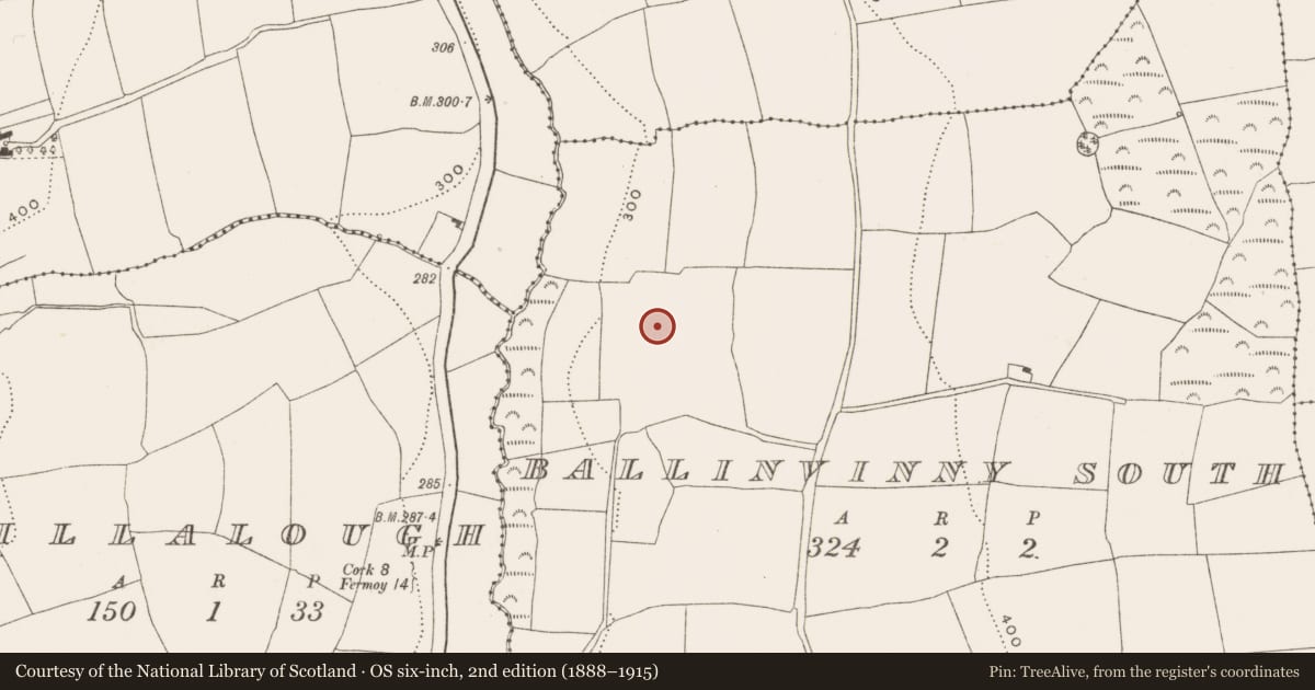 Ordnance Survey six-inch map, 2nd edition (1888–1915) covering the location of House - 16th/17th century, Ballinvinny South, County Cork, with a pin at the register's coordinates