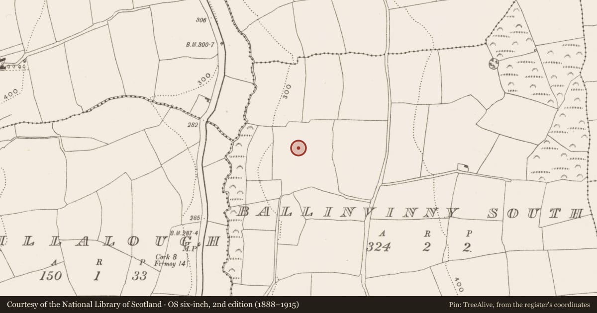 Ordnance Survey six-inch map, 2nd edition (1888–1915) covering the location of House - 16th/17th century, Ballinvinny South, County Cork, with a pin at the register's coordinates