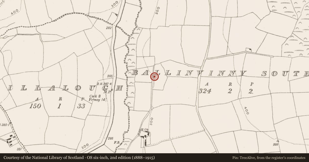 Ordnance Survey six-inch map, 2nd edition (1888–1915) covering the location of Road - road/trackway, Ballinvinny South, County Cork, with a pin at the register's coordinates
