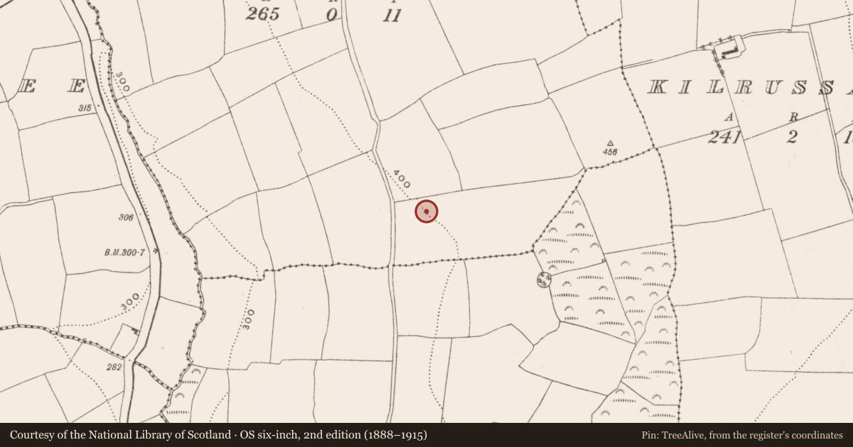 Ordnance Survey six-inch map, 2nd edition (1888–1915) covering the location of Kiln - corn-drying, Ballinvinny North, County Cork, with a pin at the register's coordinates