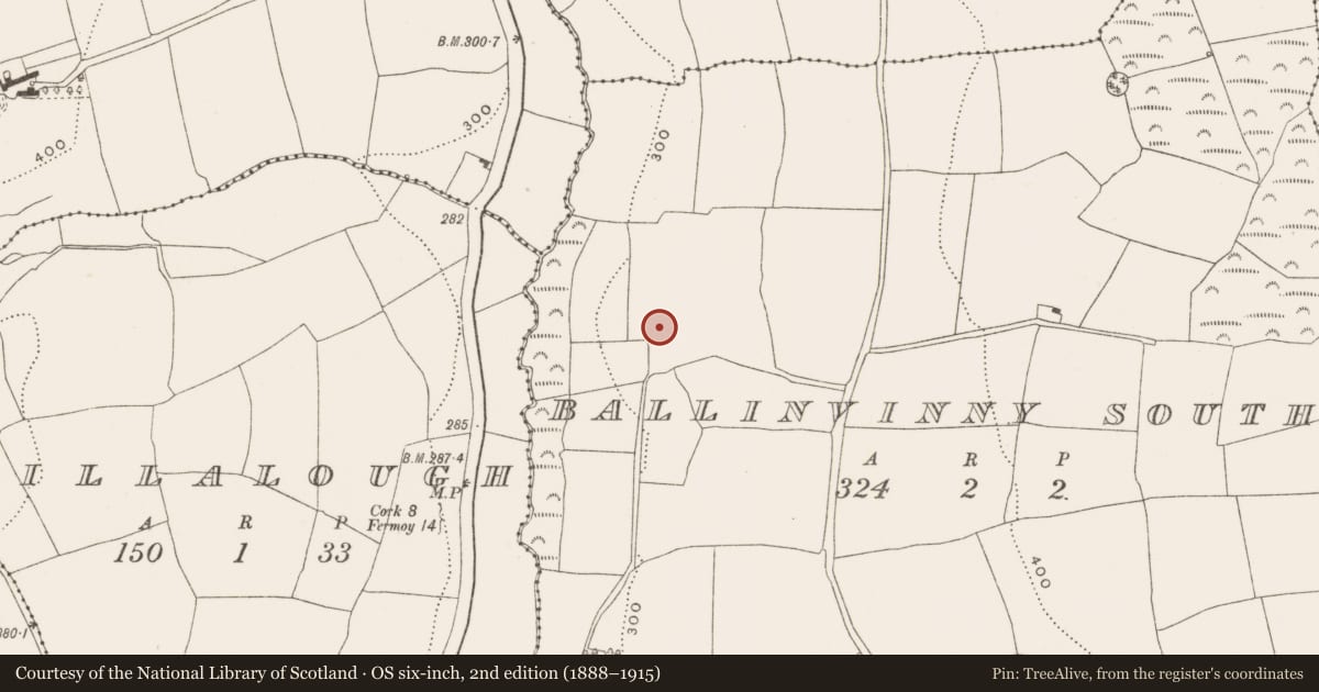 Ordnance Survey six-inch map, 2nd edition (1888–1915) covering the location of Metalworking site, Ballinvinny South, County Cork, with a pin at the register's coordinates