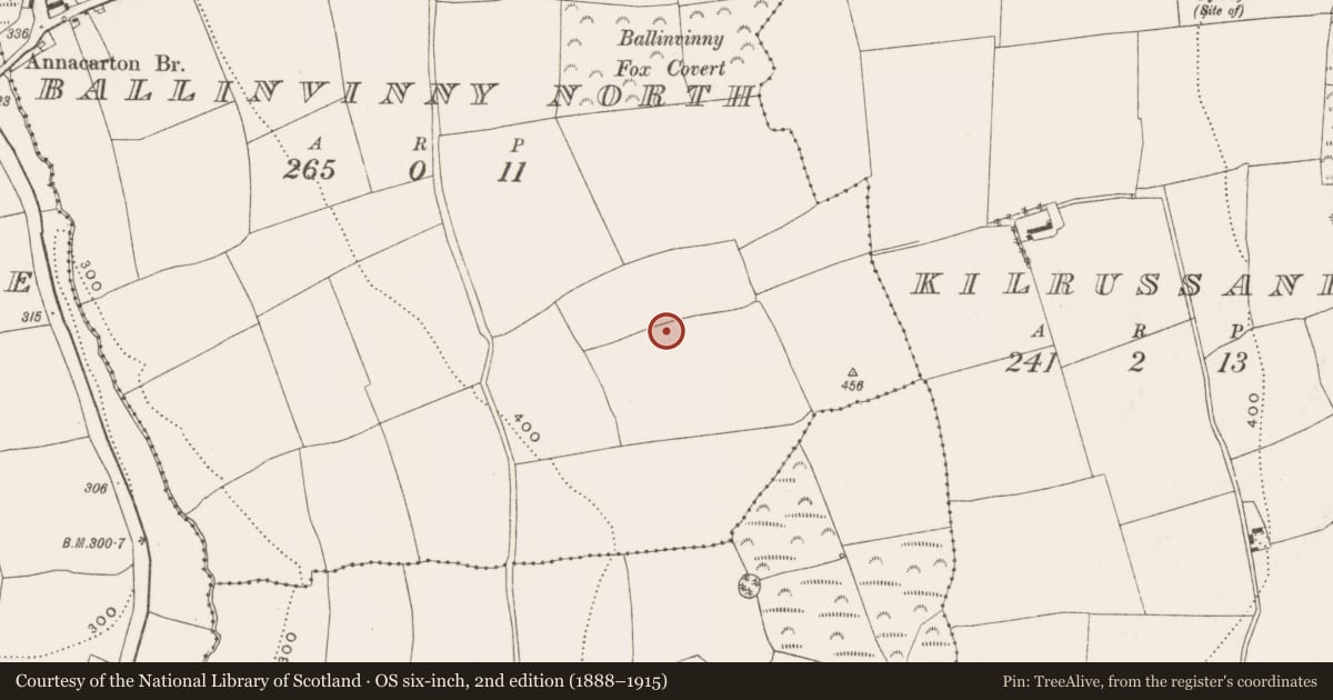Ordnance Survey six-inch map, 2nd edition (1888–1915) covering the location of Furnace, Ballinvinny North, County Cork, with a pin at the register's coordinates