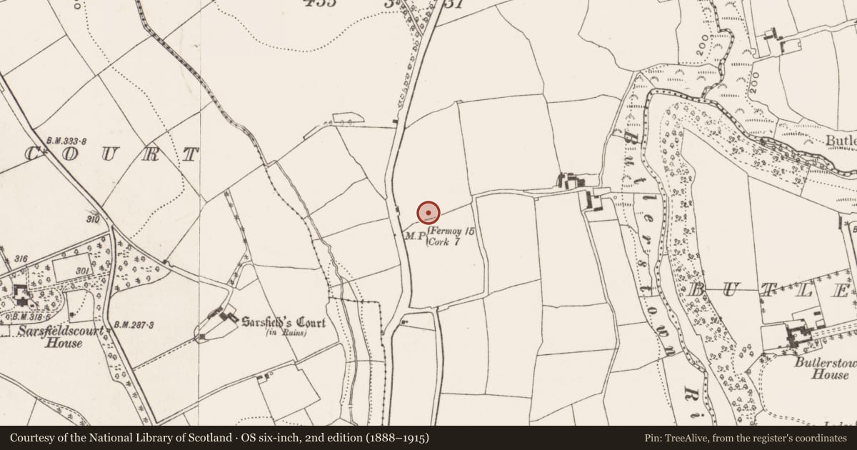 Ordnance Survey six-inch map, 2nd edition (1888–1915) covering the location of Enclosure, Killydonoghoe, County Cork, with a pin at the register's coordinates