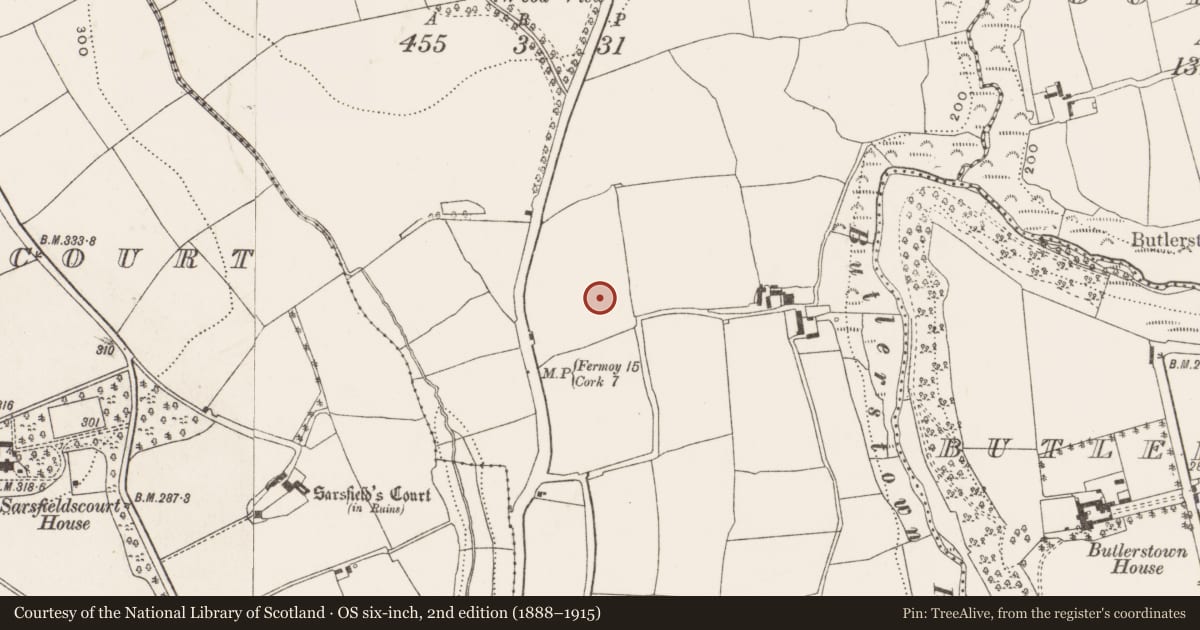 Ordnance Survey six-inch map, 2nd edition (1888–1915) covering the location of Pit-burial, Killydonoghoe, County Cork, with a pin at the register's coordinates
