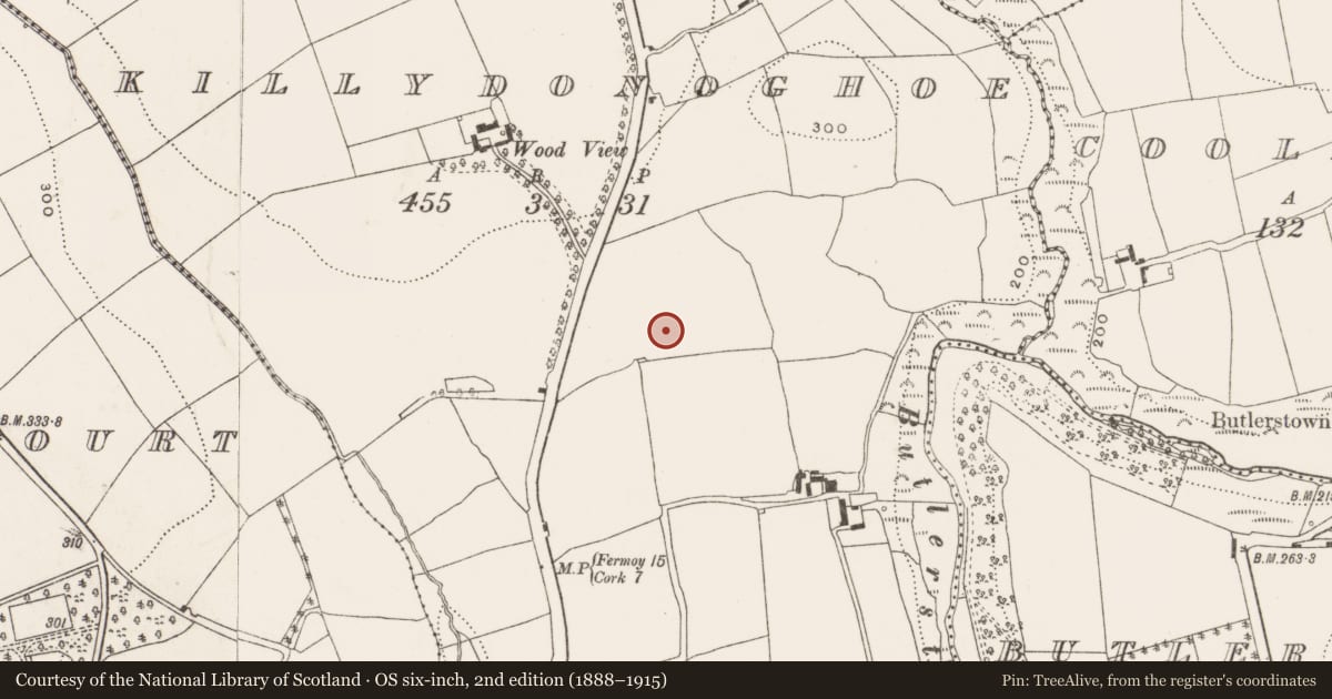 Ordnance Survey six-inch map, 2nd edition (1888–1915) covering the location of House - Bronze Age, Killydonoghoe, County Cork, with a pin at the register's coordinates
