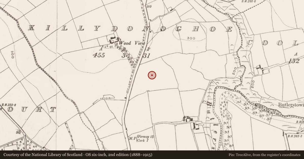 Ordnance Survey six-inch map, 2nd edition (1888–1915) covering the location of Pit-burial, Killydonoghoe, County Cork, with a pin at the register's coordinates