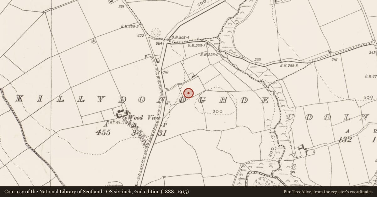 Ordnance Survey six-inch map, 2nd edition (1888–1915) covering the location of Pit-burial, Killydonoghoe, County Cork, with a pin at the register's coordinates