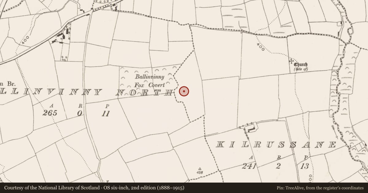 Ordnance Survey six-inch map, 2nd edition (1888–1915) covering the location of Metalworking site, Kilrussane, County Cork, with a pin at the register's coordinates