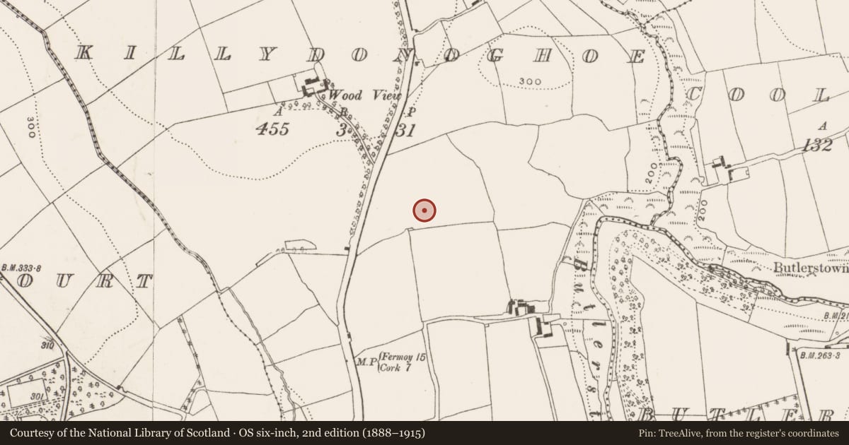 Ordnance Survey six-inch map, 2nd edition (1888–1915) covering the location of Excavation - miscellaneous, Killydonoghoe, County Cork, with a pin at the register's coordinates