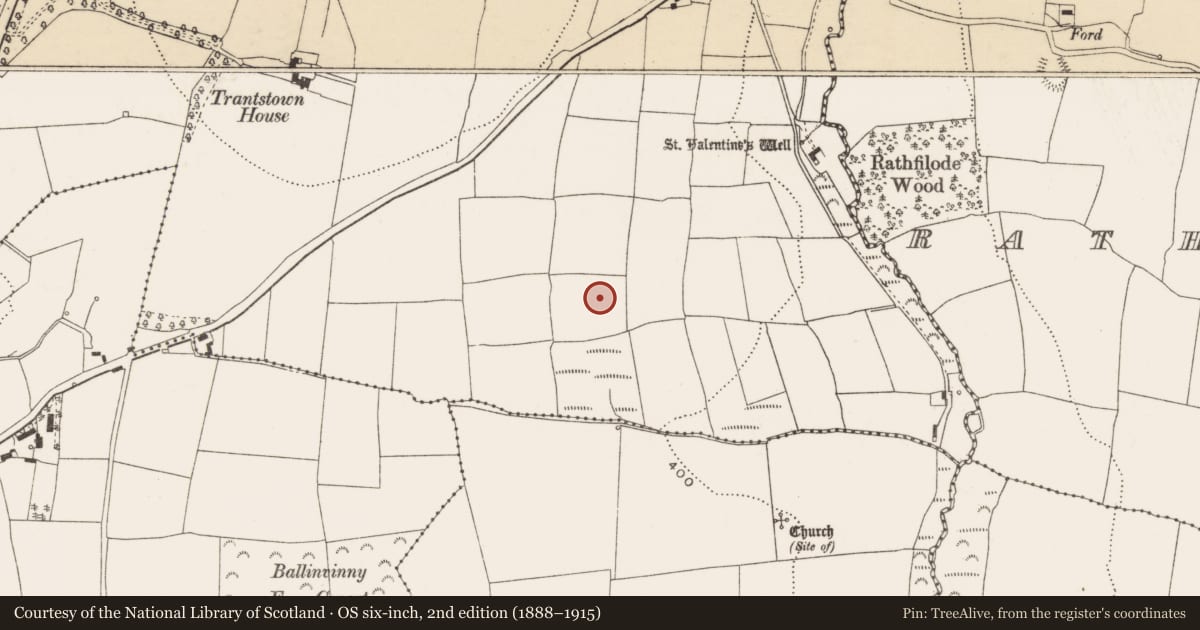 Ordnance Survey six-inch map, 2nd edition (1888–1915) covering the location of Metalworking site, Trantstown, County Cork, with a pin at the register's coordinates