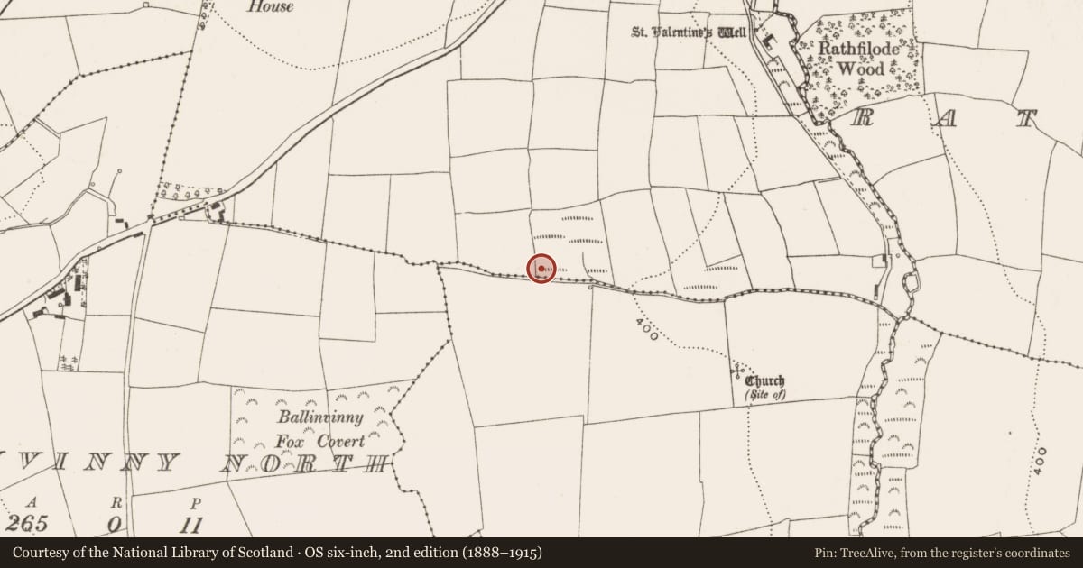 Ordnance Survey six-inch map, 2nd edition (1888–1915) covering the location of Burnt mound, Trantstown, County Cork, with a pin at the register's coordinates