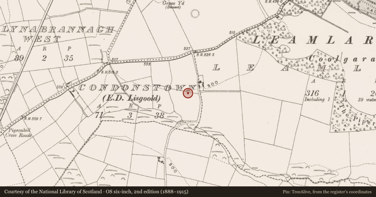 Ordnance Survey six-inch map, 2nd edition (1888–1915) covering the location of Ringfort - rath, Condonstown (Barrymore By., Ballycurrany Par.), County Cork, with a pin at the register's coordinates
