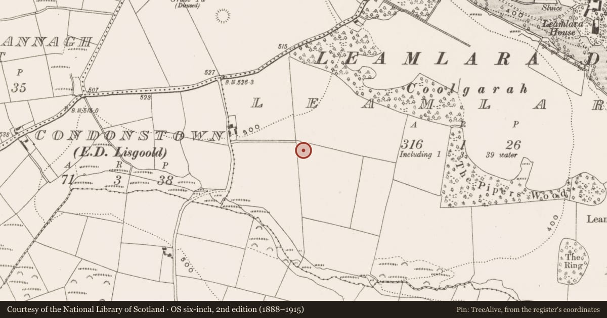 Ordnance Survey six-inch map, 2nd edition (1888–1915) covering the location of Ringfort - rath, Leamlara, County Cork, with a pin at the register's coordinates