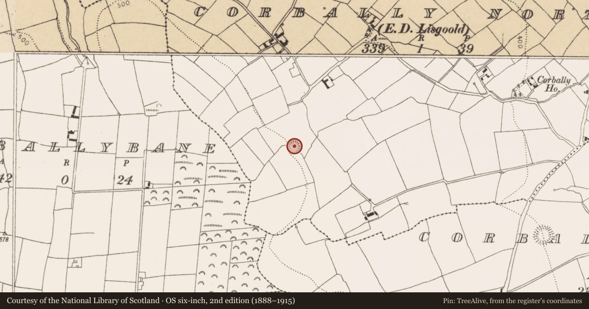 Ordnance Survey six-inch map, 2nd edition (1888–1915) covering the location of Ringfort - rath, Corbally North (Barrymore By., Lisgoold Par.), County Cork, with a pin at the register's coordinates