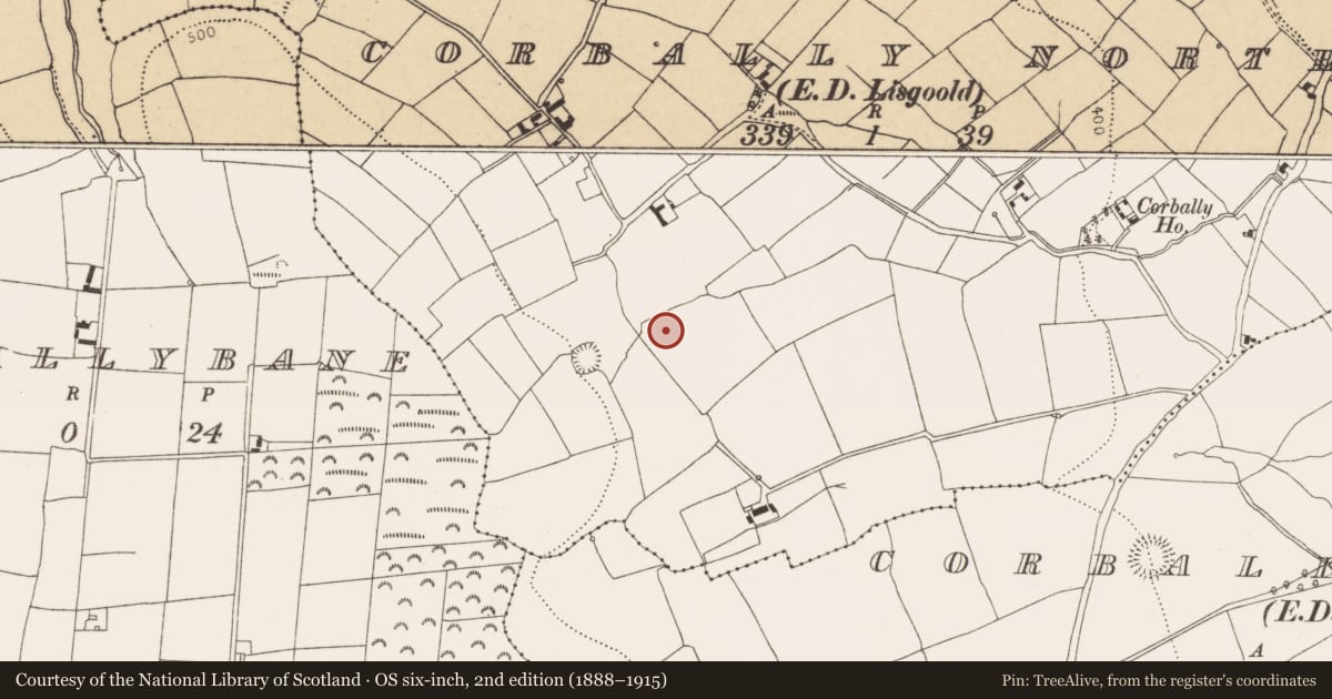Ordnance Survey six-inch map, 2nd edition (1888–1915) covering the location of Fulacht fia, Corbally North (Barrymore By., Lisgoold Par.), County Cork, with a pin at the register's coordinates