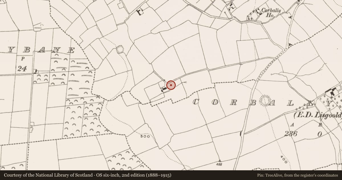 Ordnance Survey six-inch map, 2nd edition (1888–1915) covering the location of Ringfort - rath, Corbally North (Barrymore By., Lisgoold Par.), County Cork, with a pin at the register's coordinates