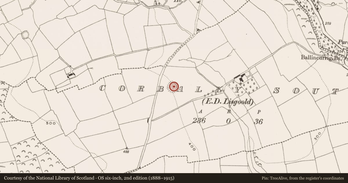 Ordnance Survey six-inch map, 2nd edition (1888–1915) covering the location of Souterrain, Corbally South (Barrymore By., Lisgoold Par.), County Cork, with a pin at the register's coordinates