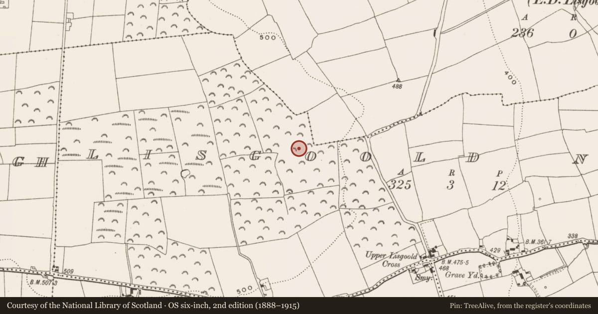 Ordnance Survey six-inch map, 2nd edition (1888–1915) covering the location of Ringfort - rath, Lisgoold North, County Cork, with a pin at the register's coordinates